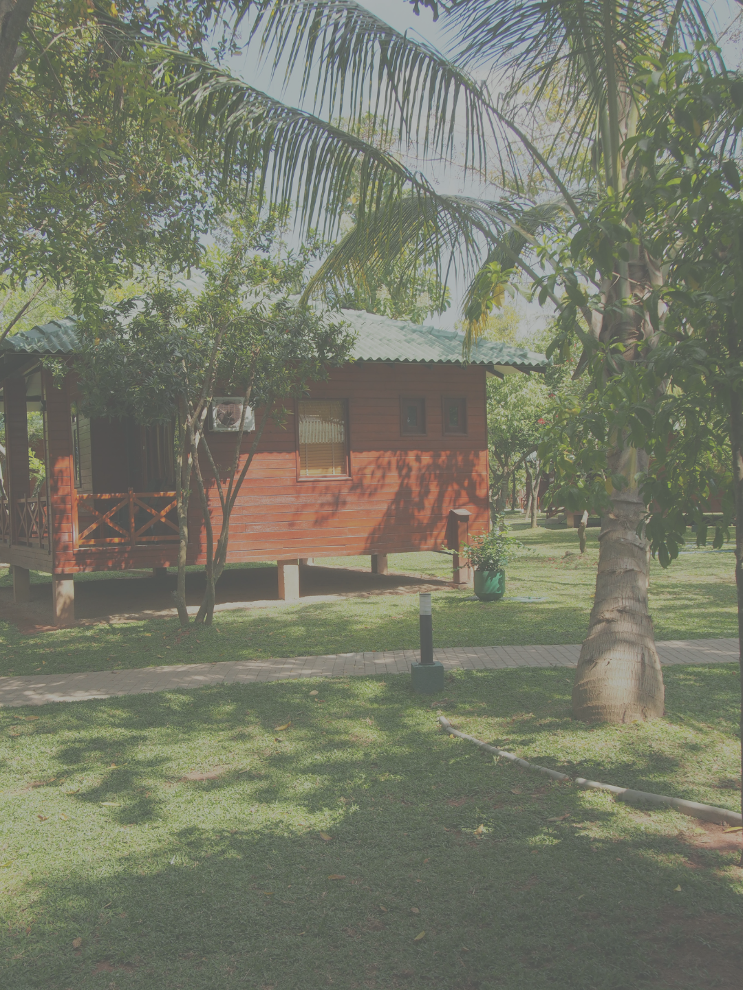 RYT200 スリランカ